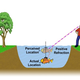 Illustration for article titled How do fish hide in clear waters?